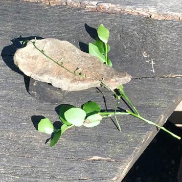 Wirkstatt Eifel 2023_3